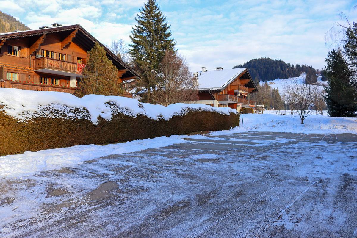 Ganze Ferienwohnung, Appartement Le Crocus, (Rougemont) - 2 chambres à coucher, 80m², 4 personnes in Rougemont, Westalpen