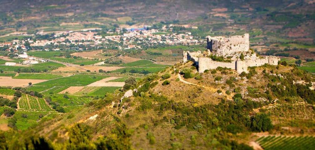 Location de vacances pour 4 personnes à Tuchan - 4
