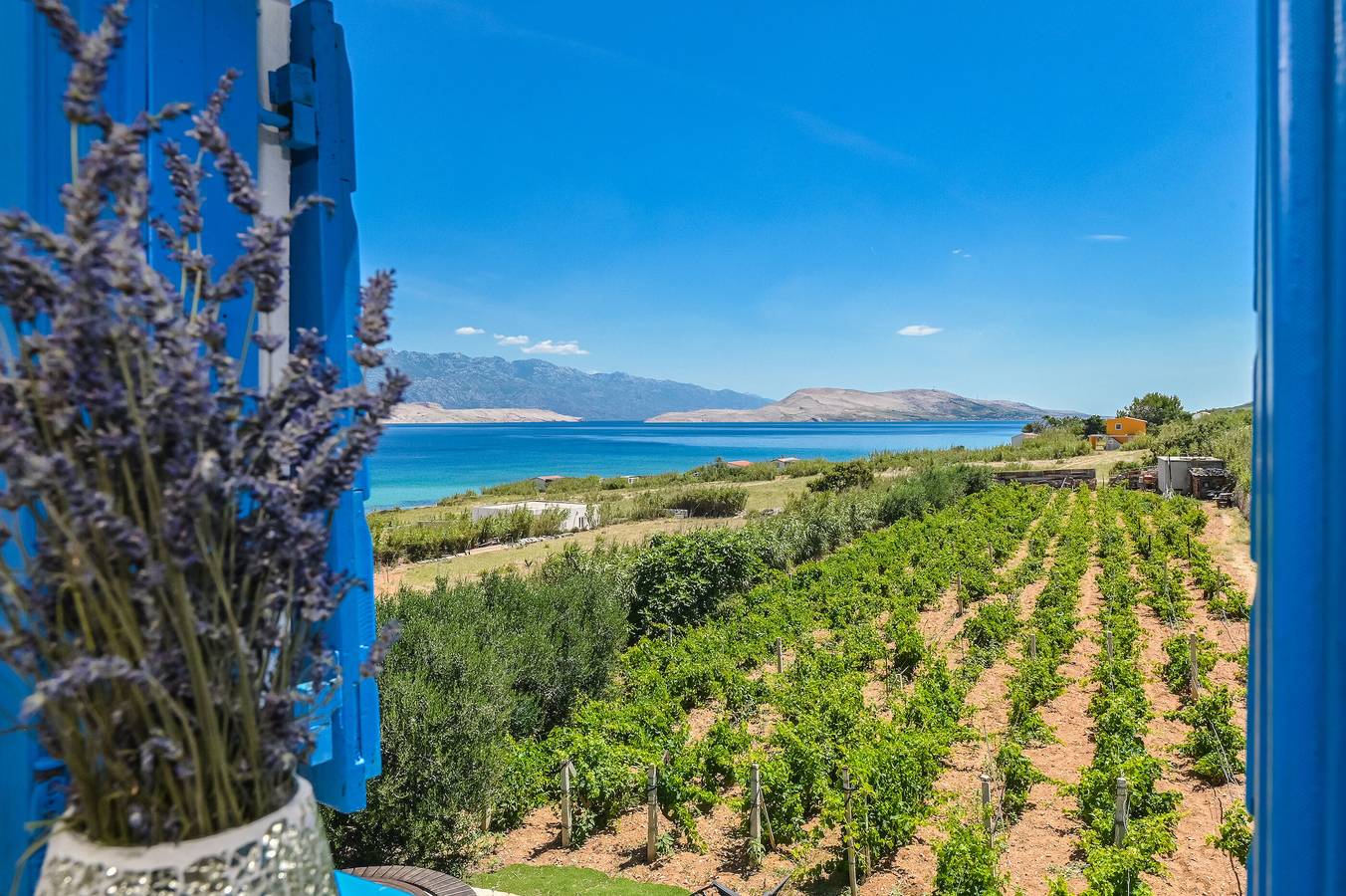 Casa vacanza a Pag a partire da 157€ a notte
