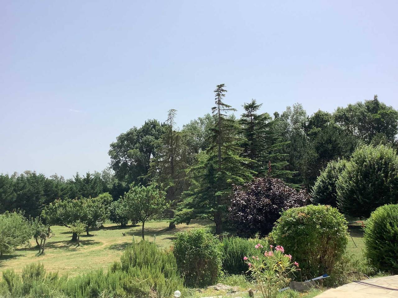 La P'tite Forêt in Pennautier, Carcassonne region