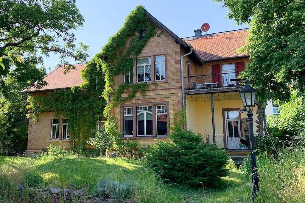 Ganze Wohnung, Herrschaftliches Apartment in historischer Villa in Hanau, Main-Kinzig-Kreis
