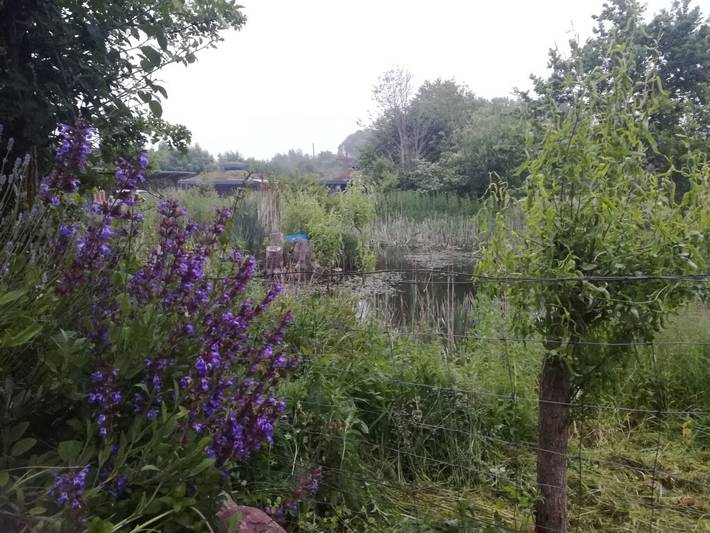 Familienoase Flensburger Förde in Steinberg, Schleswig-Flensburg
