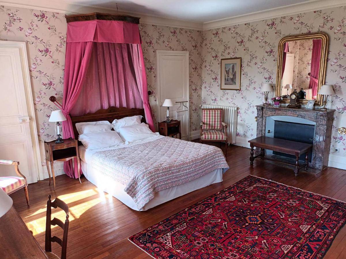 Chambres d'Hôtes Le Château de la Plante in Thuré (Vienne), Vienne (France)