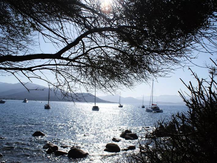 Gîte pour 3 personnes à Serra-di-Ferro - 3