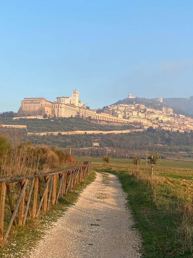 B&B Domus Benedicta in Santa Maria degli Angeli, Assisi