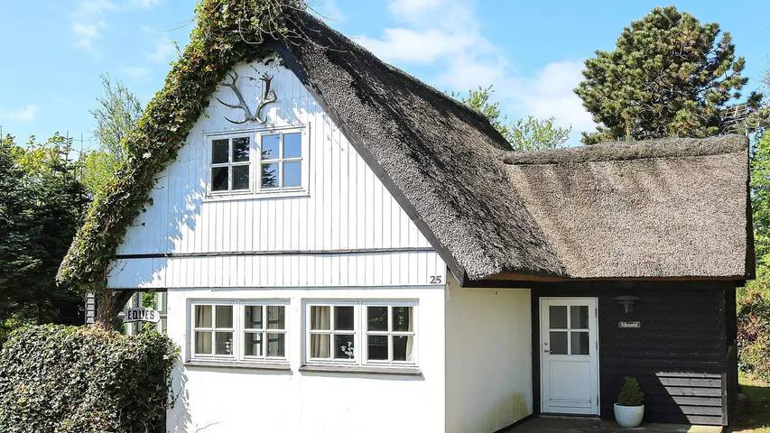 Ferienhaus für 5 Personen, mit Terrasse, mit Haustier in Himmerland - 2