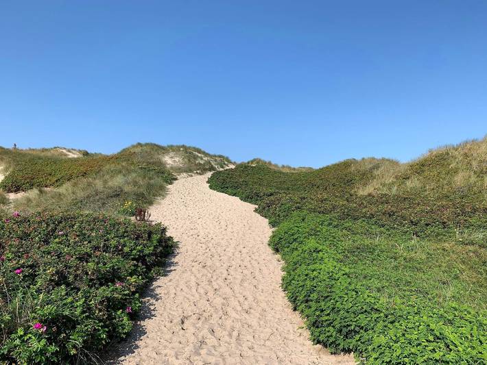 Ferienhaus für 6 Personen, mit Terrasse, kinderfreundlich in Hvide Sande - 3