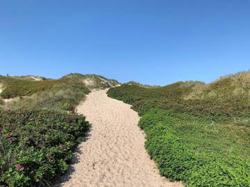 Ferieudlejning til 6 Personer i Nørre Lyngvig, Hvide Sande, Billede 3
