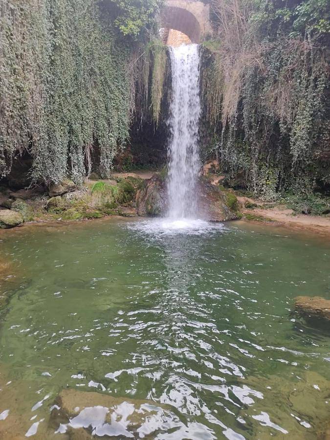 Casa rural para 2 personas, con vistas además de jardín y terraza en Provincia de Burgos - 4