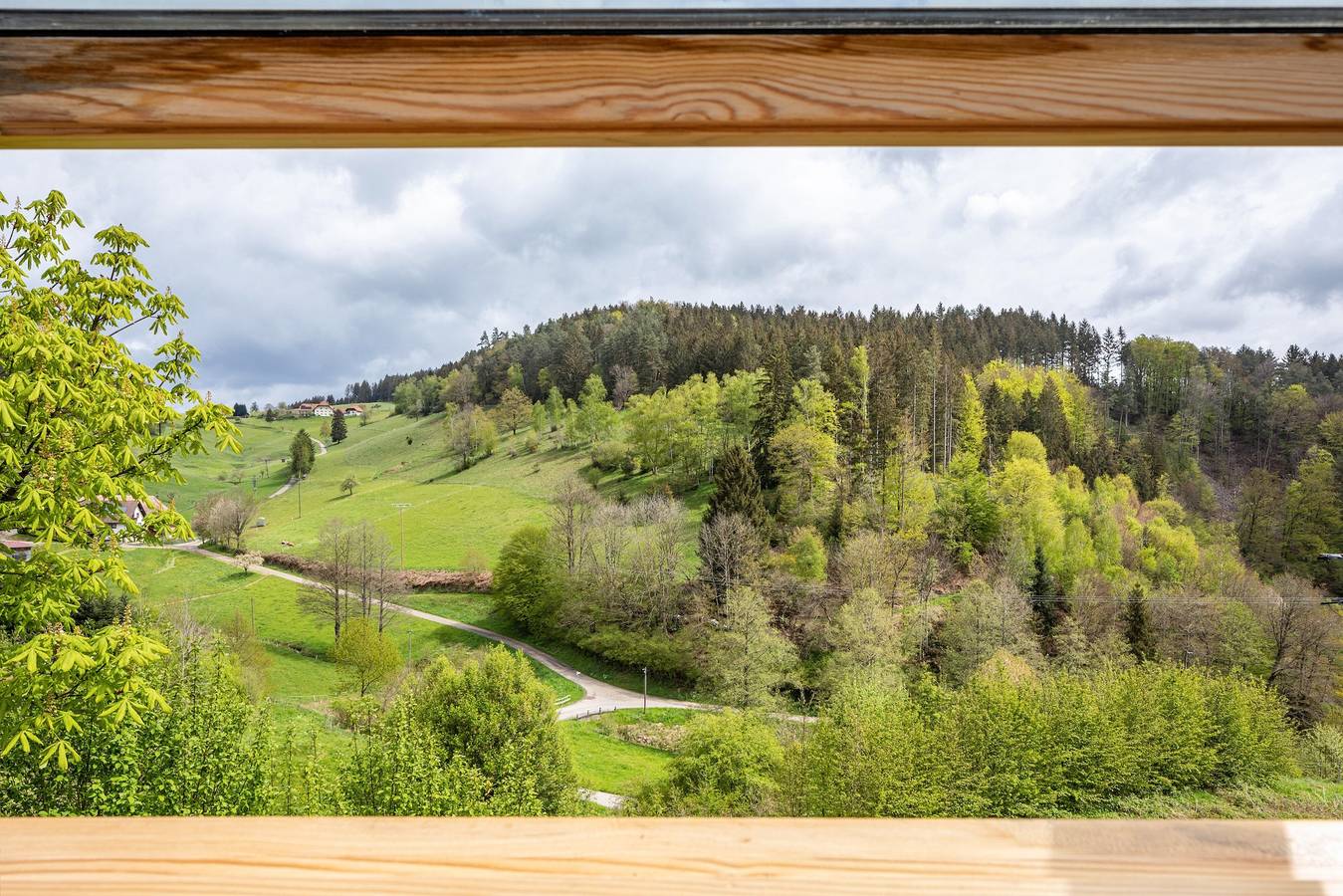 Ganze Wohnung, Ferienwohnung 'Auszeit Im Waldhaus' mit Bergblick, Gemeinschaftsgarten und Wlan in Biederbach, Südschwarzwald