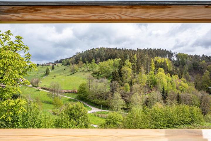 Gîte pour 2 personnes, avec jardin à Biederbach - 3