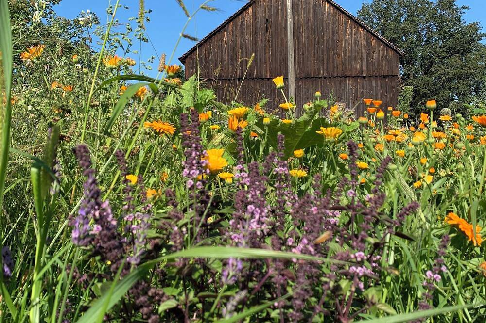 Ganze Wohnung, Geräumiges Doppelzimmer im Grünen in Vetschau, Oberspreewald-Lausitz
