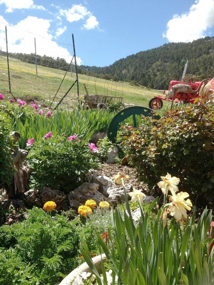 Maison de campagne pour 4 personnes, avec jardin à Andon - 3