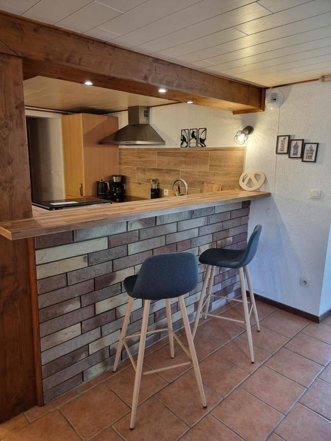 Location de vacances pour 6 personnes, avec vue ainsi que terrasse et jardin à Erckartswiller - 4