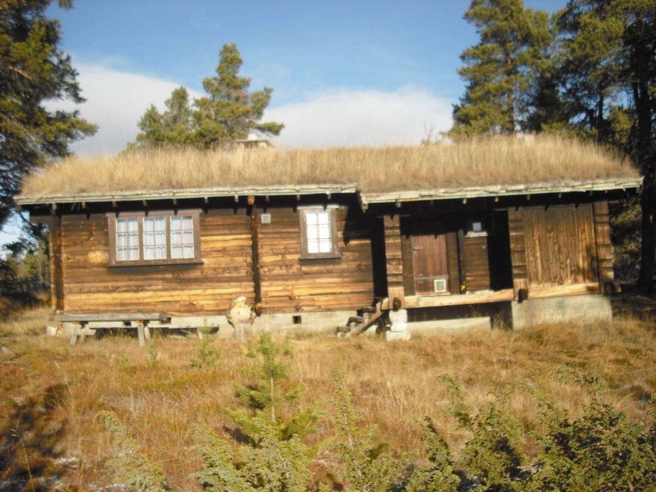 Lusæter Timber Cabins in Jotunheimen