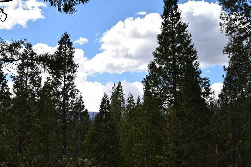 Log Cabin for 6 People in Wawona, Mariposa County