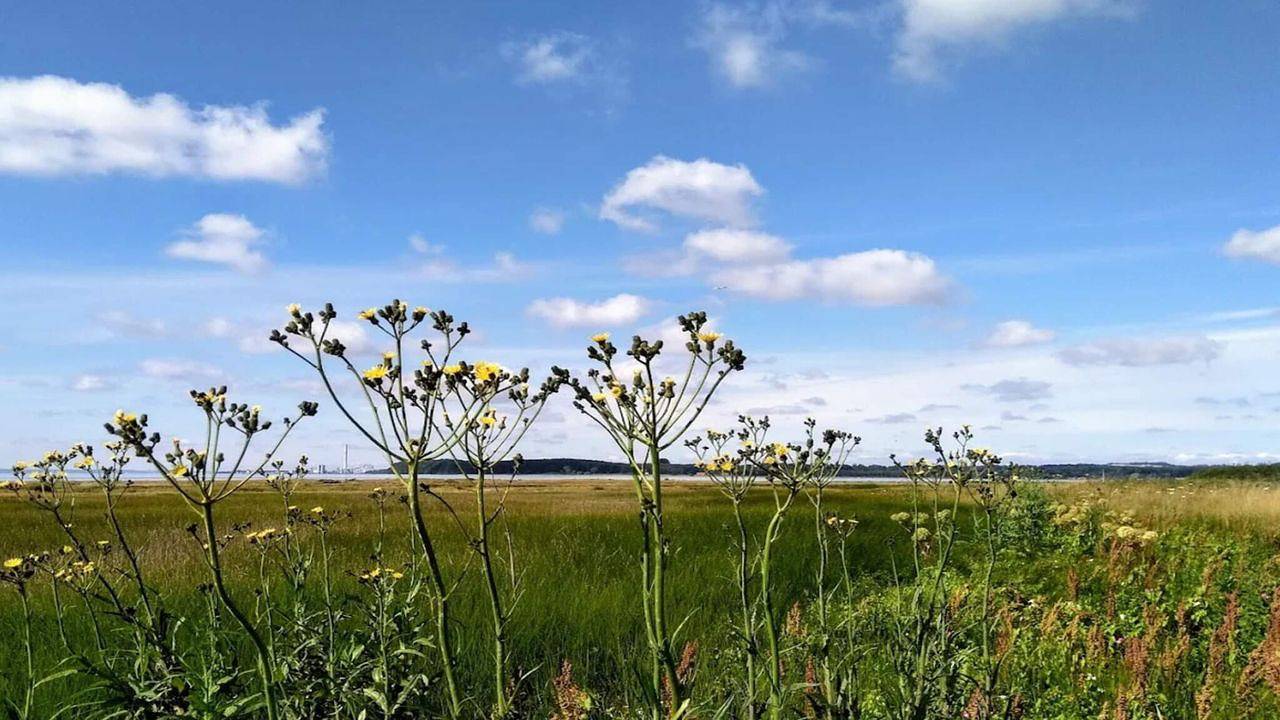 Ferienhaus für 10 Personen (125 m²) in Rønde in Følle Strand, Djursland