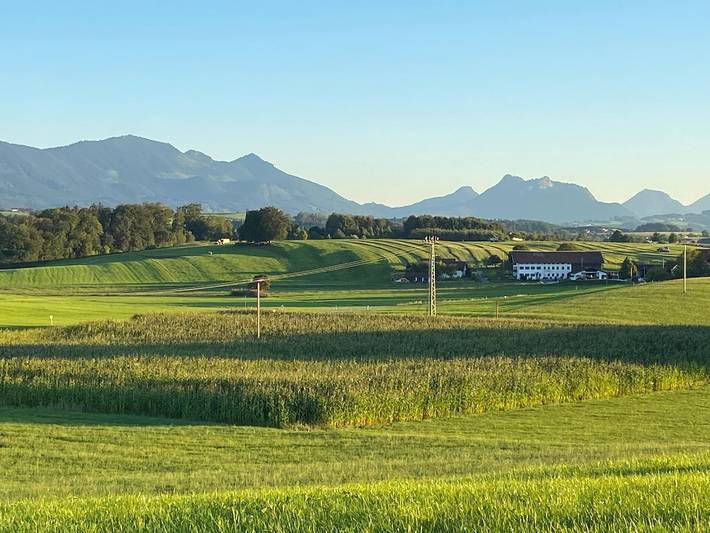 Ganze Ferienwohnung, Ferienwohnung Asbichlerhof - Ferienwohnung, 45 qm 2. Etage, 1 separates Schlafzimmer in Bad Endorf, Chiemsee