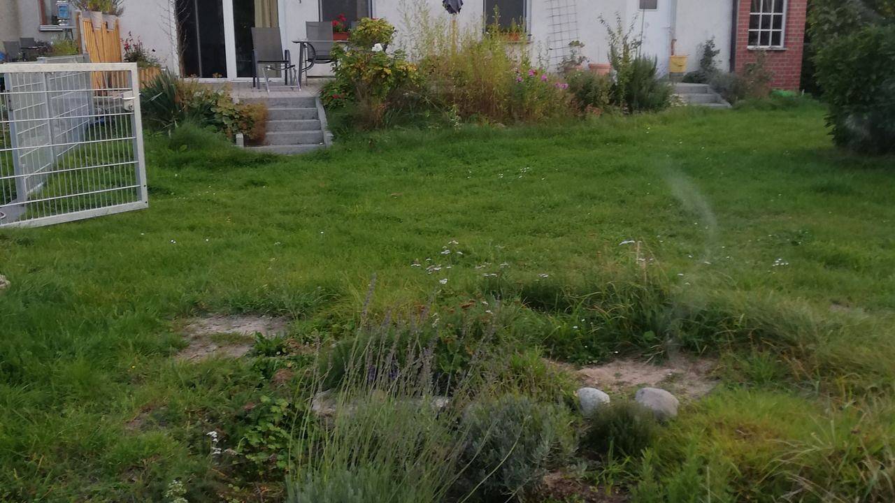 Ganze Ferienwohnung, Ferienwohnung für 4 Personen (75 m²) in Wittenburg in Wittenburg, Mecklenburgisches Elbetal