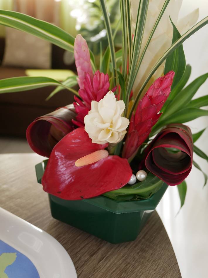 Bungalow pour 4 personnes, avec terrasse en Guadeloupe - 4