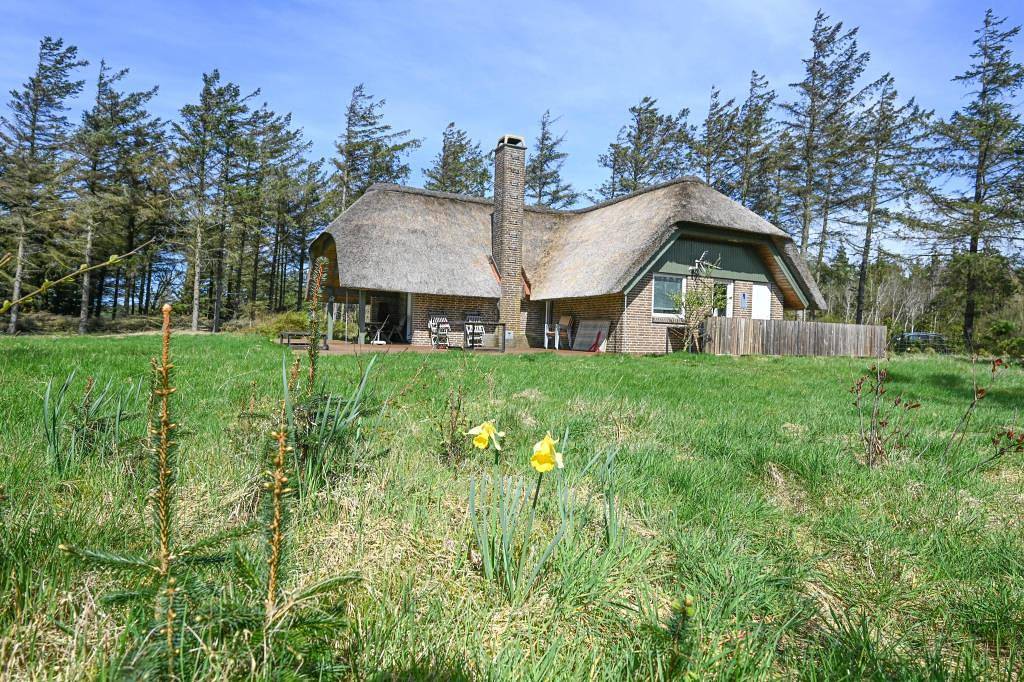 Quietly located thatched roof house with 3 bedrooms – property partially fenced, 2 dogs allowed in Vester Husby, Husby
