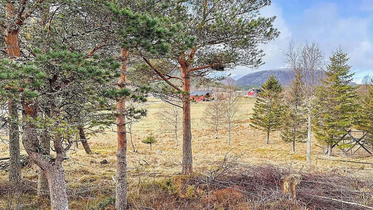 Ferienhaus für 4 Personen (45 m²) in Lysøysundet in Bjugn