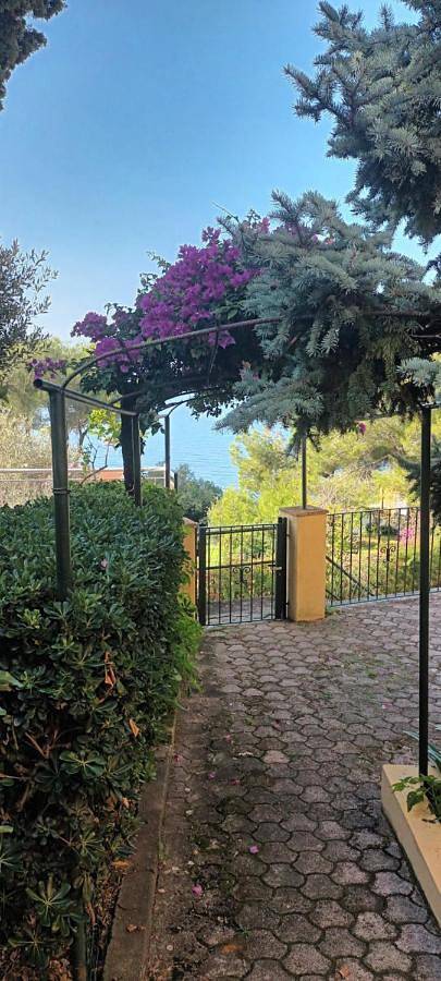 Location de vacances pour 6 personnes, avec jardin ainsi que vue et terrasse, animaux acceptés à Maratea - 2