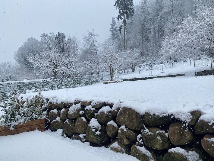 Gîte pour 3 personnes, avec jardin et terrasse au Parc naturel régional des Ballons des Vosges - 3