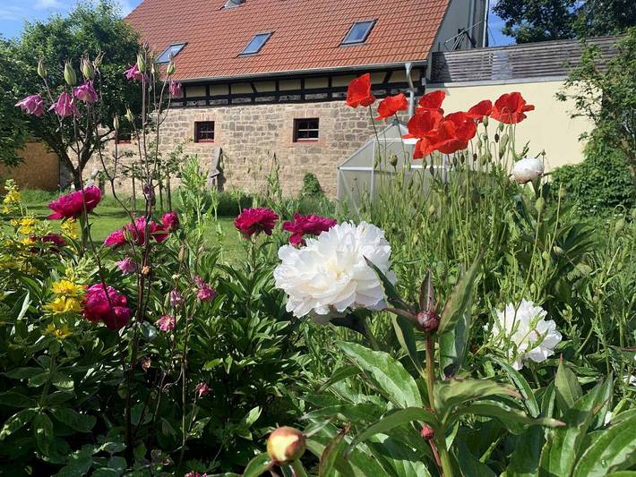 Ganze Wohnung, Ferienwohnungen im KulturGut Ulrichshalben - Falkennest in Oßmannstedt, Ilmtal-Weinstraße