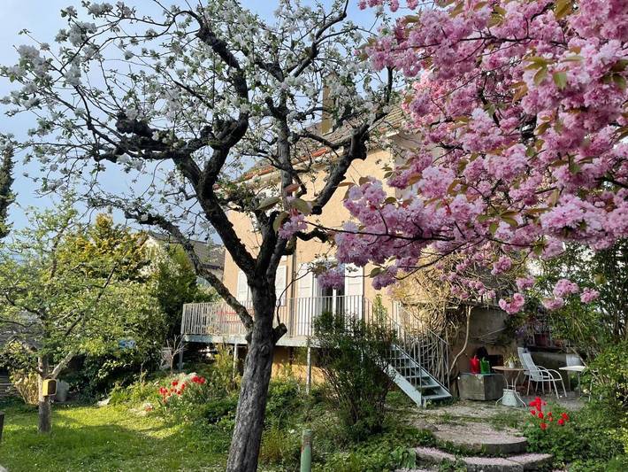 Bed and Breakfast für 3 Personen, mit Balkon und Terrasse sowie Garten und Ausblick in Kanton Solothurn