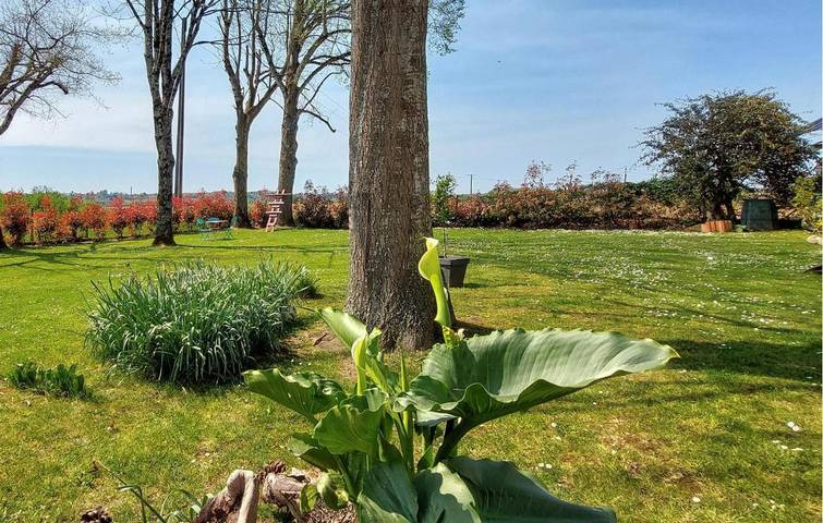 Location de vacances pour 7 personnes, avec Jardin à Dognen - 3