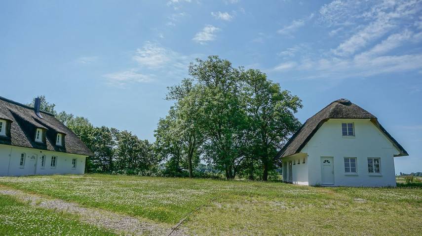 Dünenwarft West: Ferienhaus mit Sauna & Whirlpool für 14 Personen in Tönning, Halbinsel Eiderstedt