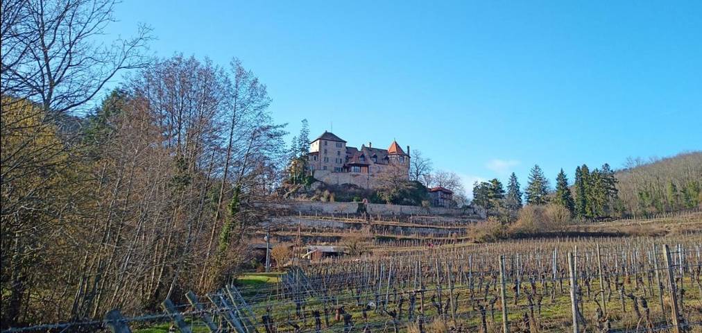 Ferienwohnung für 4 Personen, mit Terrasse und Pool sowie Sauna in Bergheim (Elsass) - 3