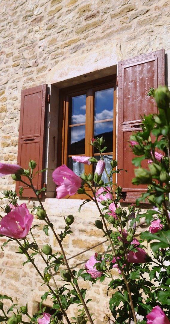 Gîte pour 4 personnes, avec terrasse dans l' Ain - 3