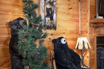 Log Cabin for 2 Guests in Douglas Lake, Sevier County, Picture 3