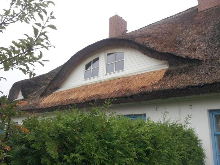Landhaus für 6 Personen, mit Garten und Seeblick sowie Ausblick in Mönchgut-Granitz - 4