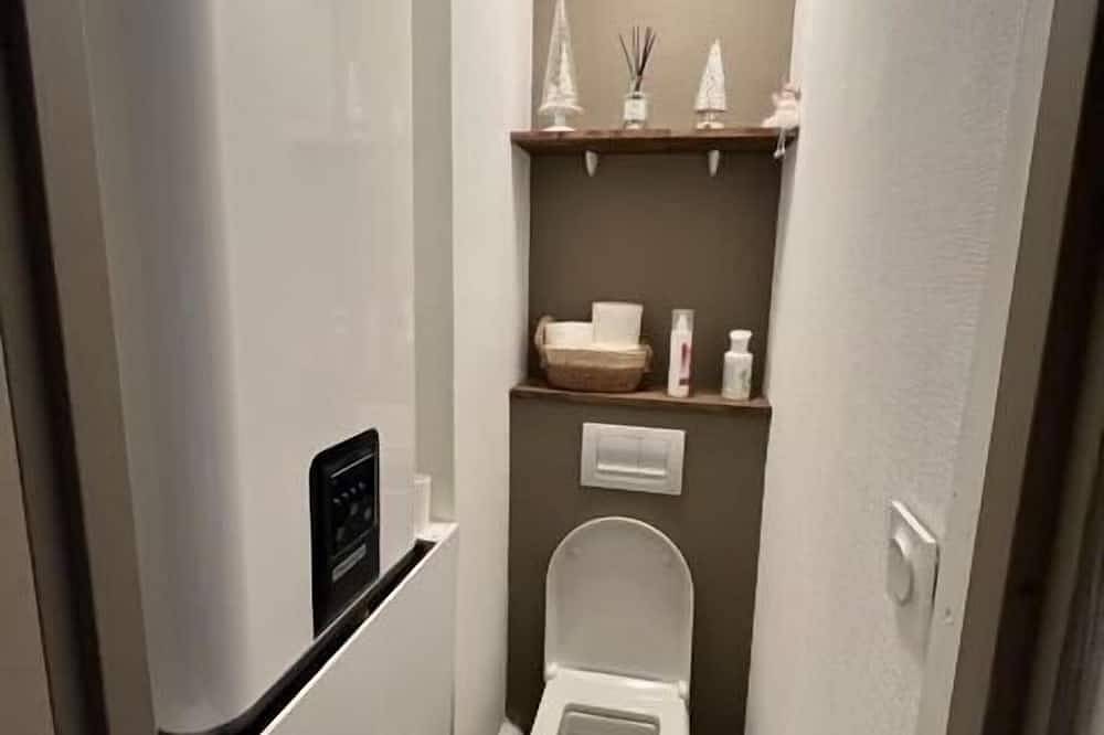 Appartement entier, Superbe appartement en coeur de station in Super Besse, Besse-et-Saint-Anastaise