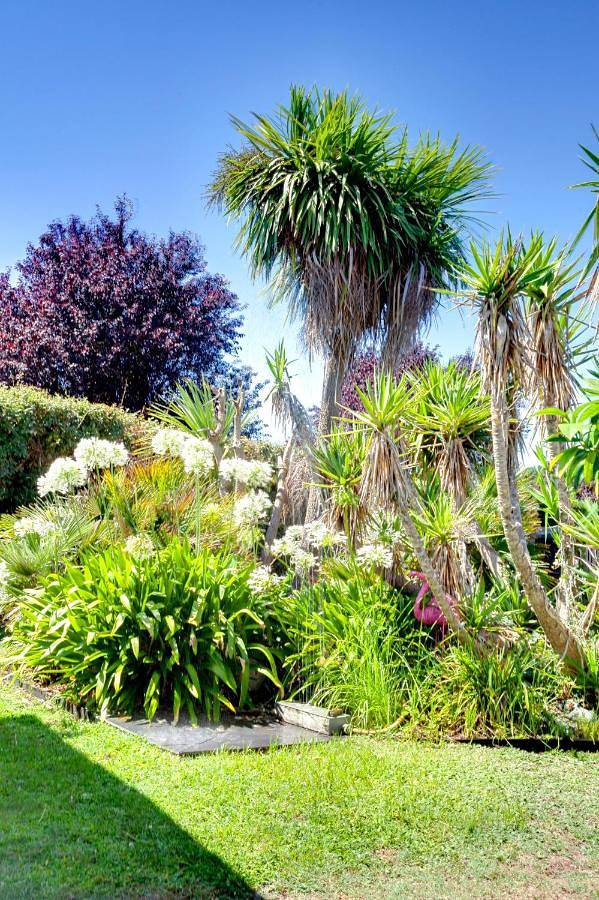 Maison d’hôte pour 2 personnes, avec vue ainsi que jardin et piscine à Gujan-Mestras - 4