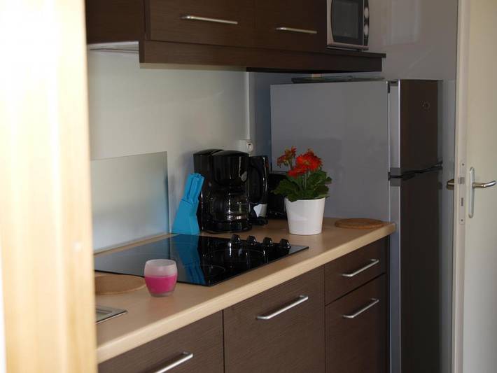 Gîte pour 4 personnes, avec piscine et jardin à Orist - 2