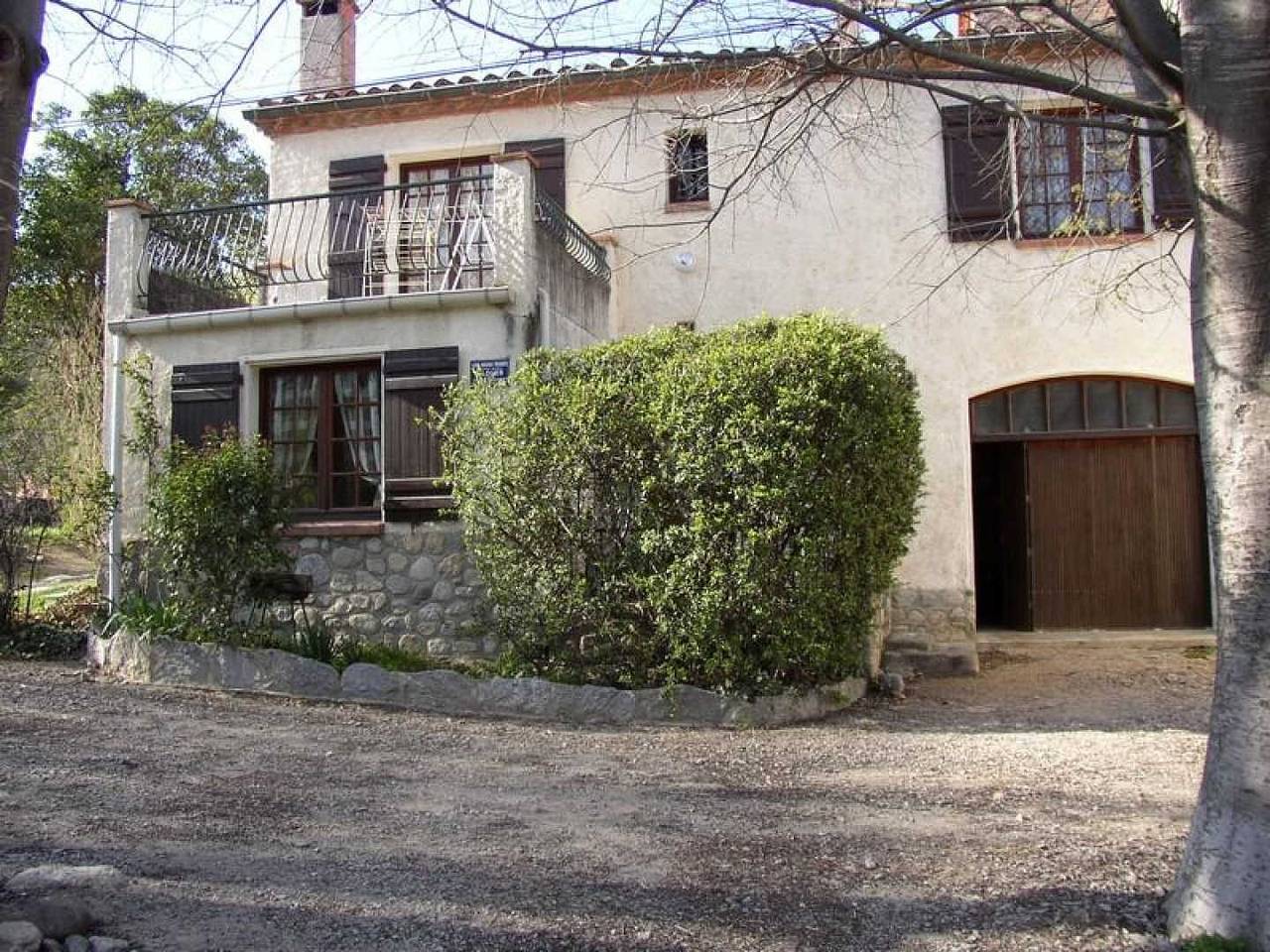 Les micocouliers in Amélie-les-Bains-Palalda, Région de Céret