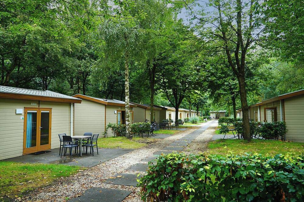 Chalet with 4 beds and a terrace in Nordholland