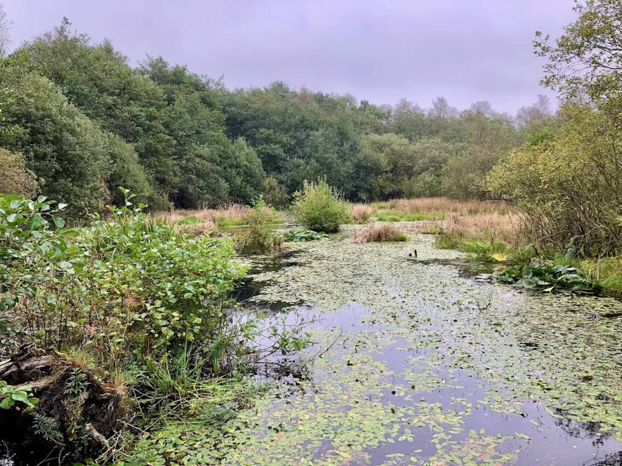 6 Personen Ferienhaus in Ansager in Varde
