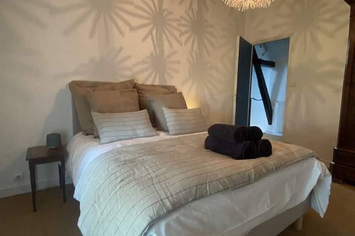 Location de vacances pour 13 personnes, avec sauna et jacuzzi, animaux acceptés à Neuvy-Deux-Clochers - 4