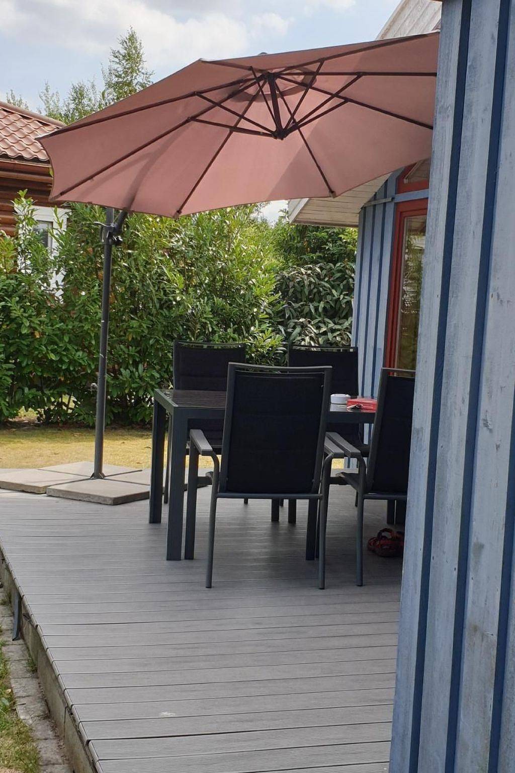 Pinto Béla in Twist, Emsland