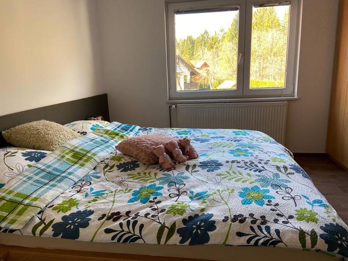 Gîte pour 6 personnes, avec jardin, animaux acceptés dans Mojstrana - 4