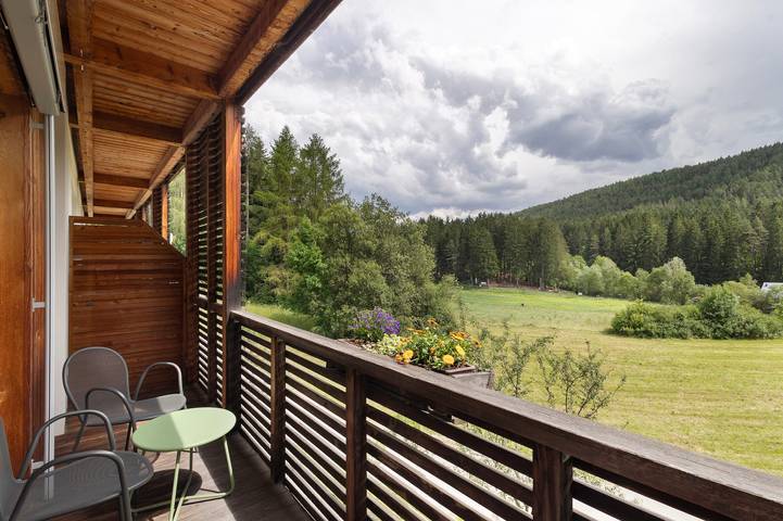 Hel studio-lejlighed, Studio Apartment 'Silbernagl - Studio with View' with Lake View and Shared Terrace in Issing, Pfalzen