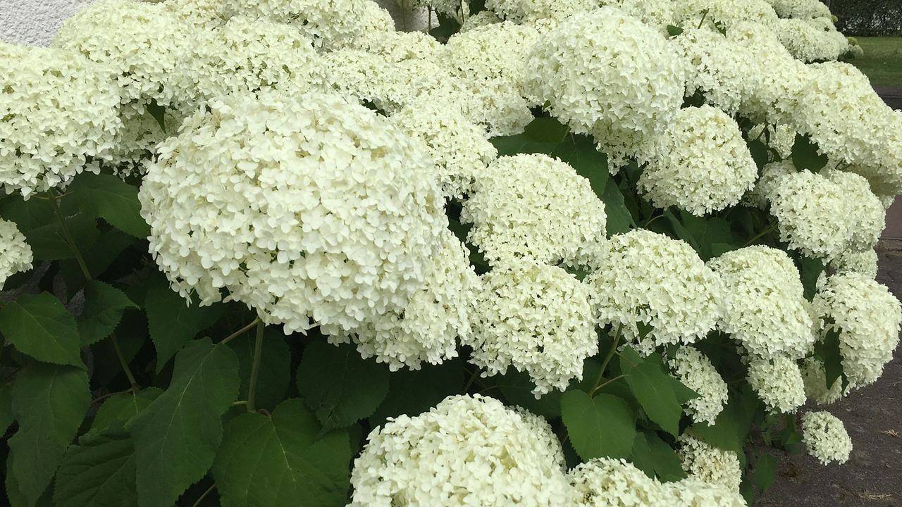 Ganze Ferienwohnung, Ferienwohnung für 2 Personen (65 m²) in Attendorn in Attendorn, Biggesee