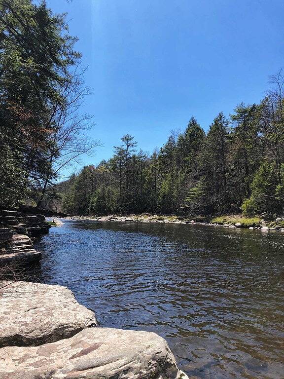 Trails Head Cabin in Sullivan County