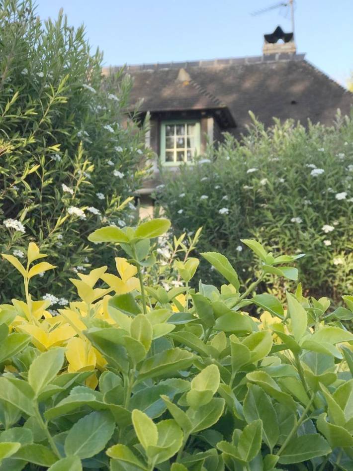 Chambre d’hôte pour 4 personnes, avec terrasse et jardin à Saint-Gatien-des-Bois