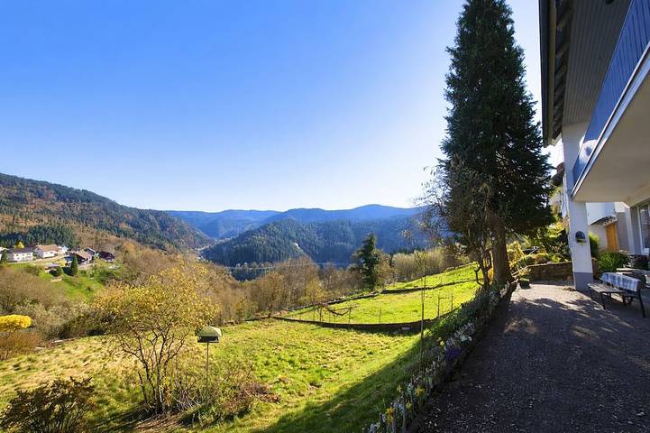 Gîte pour 4 personnes, avec terrasse à Forbach